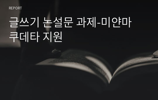 글쓰기 논설문 과제-미얀마 쿠데타 지원