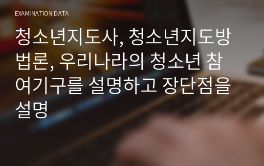 청소년지도사, 청소년지도방법론, 우리나라의 청소년 참여기구를 설명하고 장단점을 설명