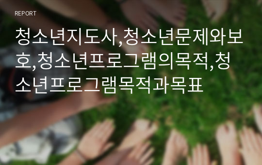 청소년지도사,청소년문제와보호,청소년프로그램의목적,청소년프로그램목적과목표