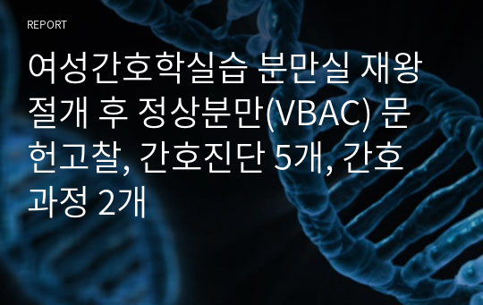 여성간호학실습 분만실 재왕절개 후 정상분만 VBAC 문헌고찰, 간호진단 5개, 간호과정 2개