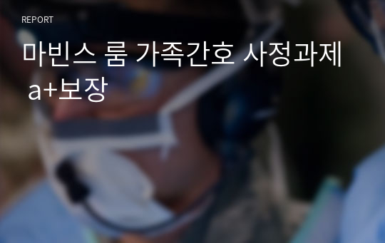 마빈스 룸 가족간호 사정과제 a+보장