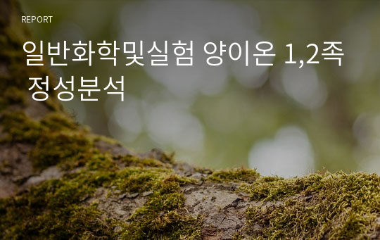 일반화학및실험 양이온 1,2족 정성분석