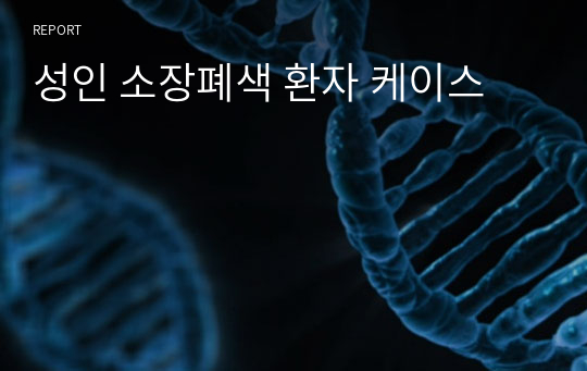 성인 소장폐색 환자 케이스