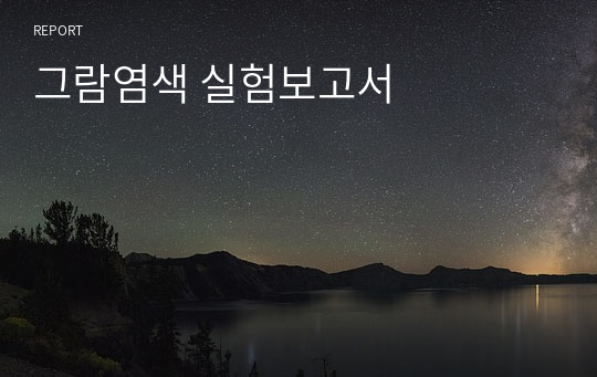 그람염색 실험보고서