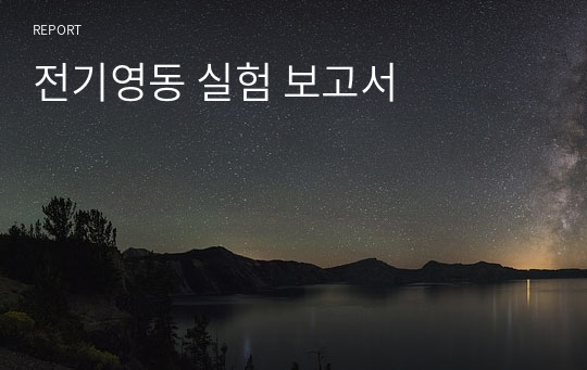 전기영동 실험 보고서