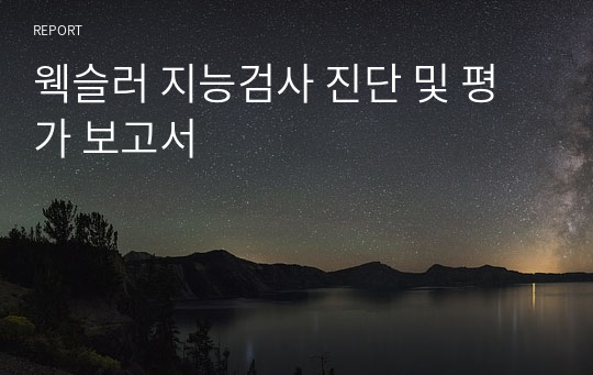 웩슬러 지능검사 진단 및 평가 보고서