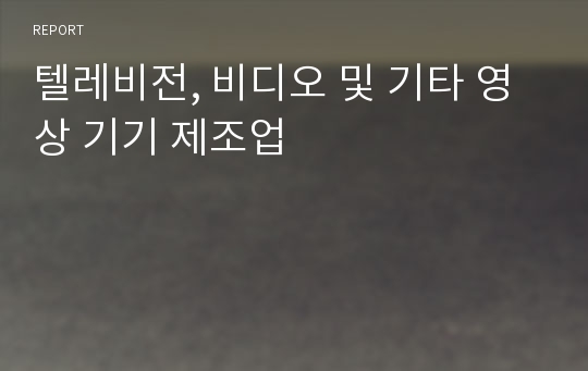 텔레비전, 비디오 및 기타 영상 기기 제조업