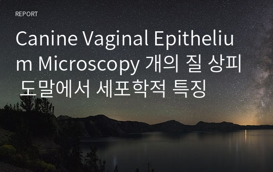 Canine Vaginal Epithelium Microscopy 개의 질 상피 도말에서 세포학적 특징
