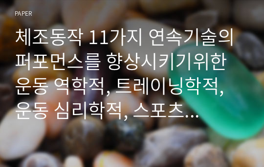 체조동작 11가지 연속기술의 퍼포먼스를 향상시키기위한  운동 역학적, 트레이닝학적, 운동 심리학적, 스포츠 교육학적 전략