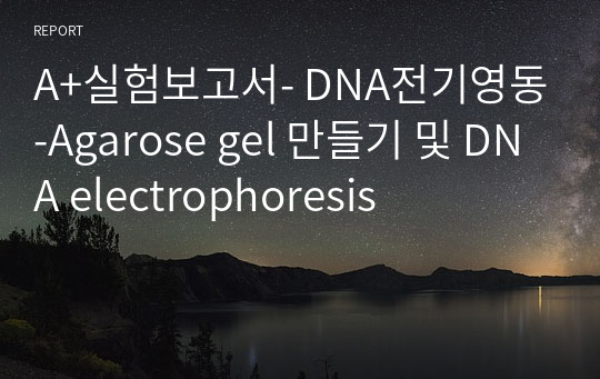 A+실험보고서- DNA전기영동-Agarose gel 만들기 및 DNA electrophoresis