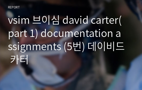 vsim 브이심 david carter(part 1) documentation assignments (5번) 데이비드 카터