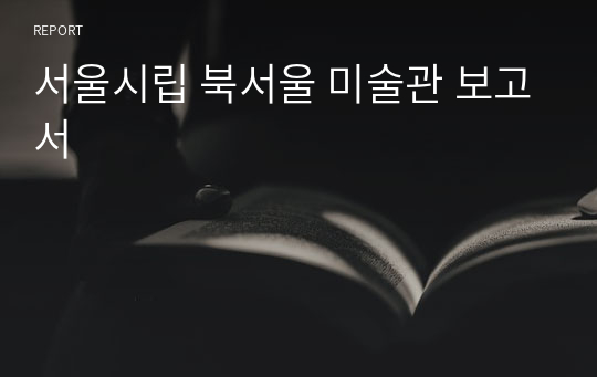 서울시립 북서울 미술관 보고서
