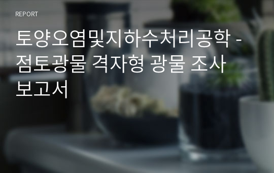 토양오염및지하수처리공학 - 점토광물 격자형 광물 조사 보고서