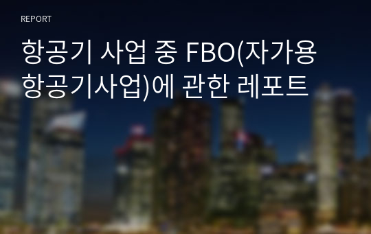 항공기 사업 중 FBO(자가용항공기사업)에 관한 레포트