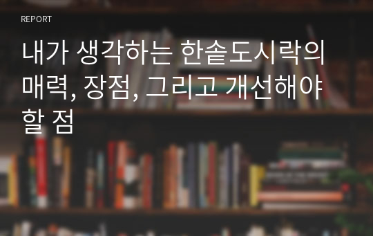 내가 생각하는 한솥도시락의 매력, 장점, 그리고 개선해야할 점