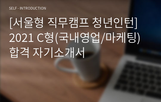 [서울형 직무캠프 청년인턴] 2021 C형(국내영업/마케팅) 합격 자기소개서
