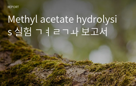 Methyl acetate hydrolysis 실험 결과 보고서