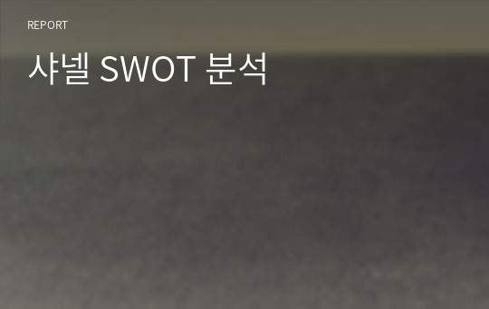 샤넬 SWOT 분석