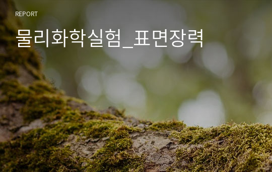 물리화학실험_표면장력