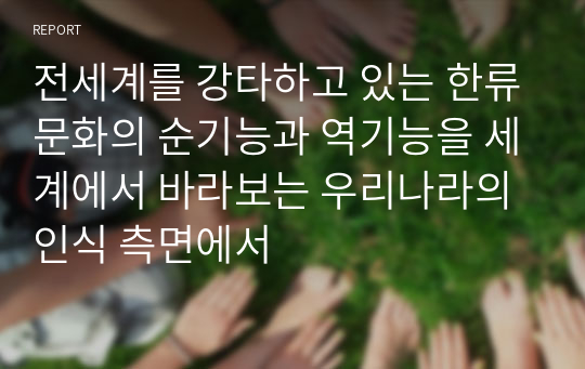 전세계를 강타하고 있는 한류문화의 순기능과 역기능을 세계에서 바라보는 우리나라의 인식 측면에서