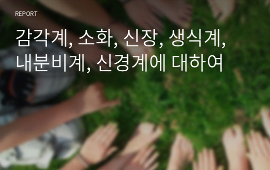 감각계, 소화, 신장, 생식계, 내분비계, 신경계에 대하여