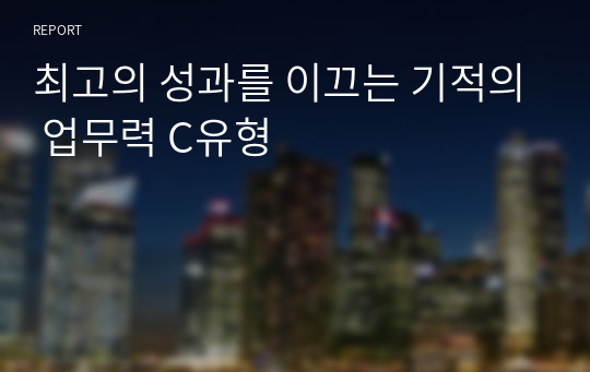 최고의 성과를 이끄는 기적의 업무력 C유형