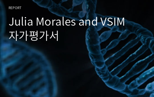 Julia Morales and VSIM 자가평가서