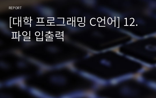 [대학 프로그래밍 C언어] 12. 파일 입출력