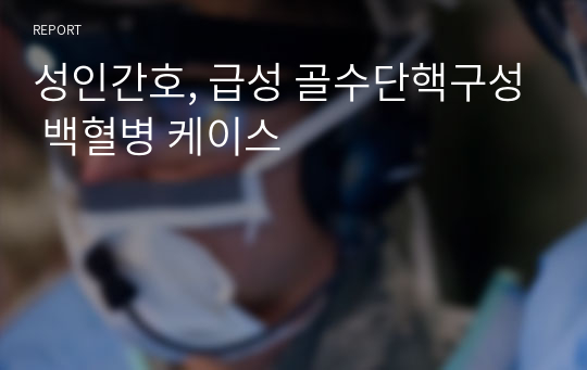 성인간호, 급성 골수단핵구성 백혈병 케이스