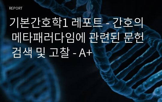 기본간호학1 레포트 - 간호의 메타패러다임에 관련된 문헌 검색 및 고찰 - A+