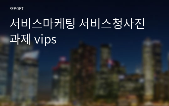 서비스마케팅 서비스청사진 과제 vips