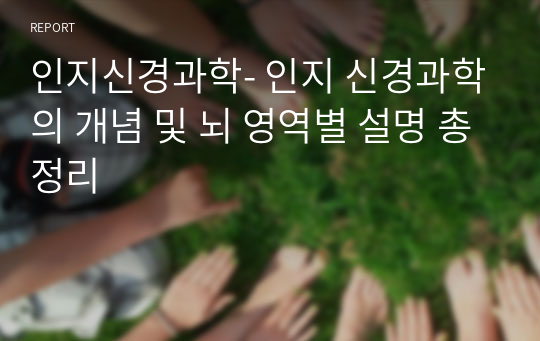 인지신경과학- 인지 신경과학의 개념 및 뇌 영역별 설명 총정리