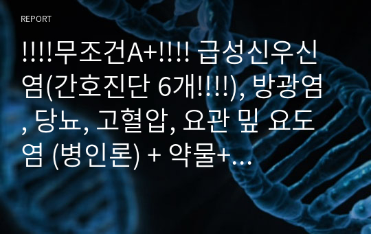 !!!!무조건A+!!!! 급성신우신염(간호진단 6개!!!!), 방광염, 당뇨, 고혈압, 요관 밒 요도염 (병인론) + 약물+의미있는 자료(문헌고찰과 비교가 들어감)+참고문헌