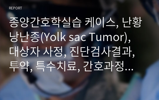 종양간호학실습 케이스, 난황낭난종(Yolk sac Tumor), 대상자 사정, 진단검사결과, 투약, 특수치료, 간호과정(진단2, 과정2), 질병기술 꼼꼼히 작성했습니다.