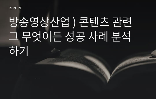 방송영상산업 ) 콘텐츠 관련 그 무엇이든 성공 사례 분석하기