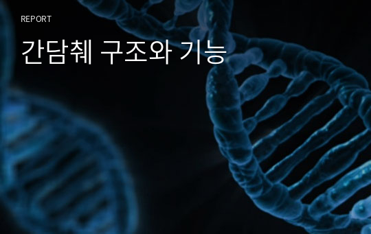 간담췌 구조와 기능