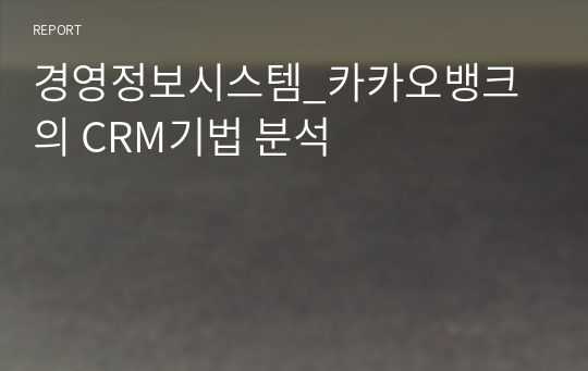 경영정보시스템_카카오뱅크의 CRM기법 분석