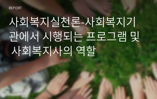 사회복지실천론-사회복지기관에서 시행되는 프로그램 및 사회복지사의 역할