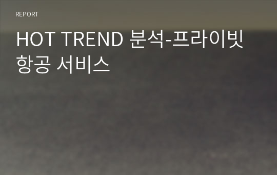 HOT TREND 분석-프라이빗 항공 서비스