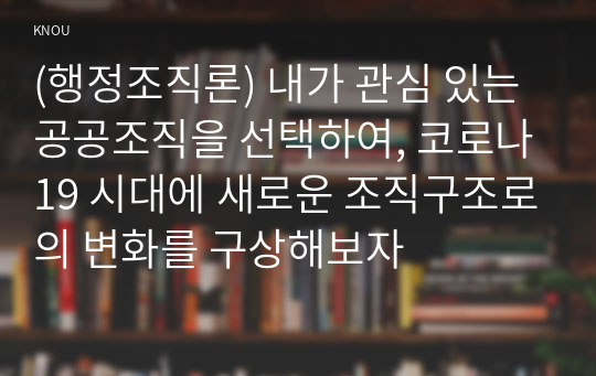 (행정조직론) 내가 관심 있는 공공조직을 선택하여, 코로나19 시대에 새로운 조직구조로의 변화를 구상해보자