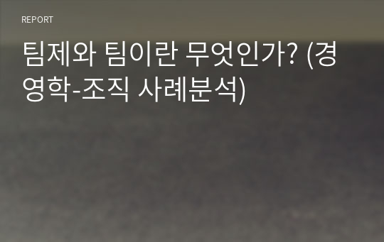 팀제와 팀이란 무엇인가? (경영학-조직 사례분석)