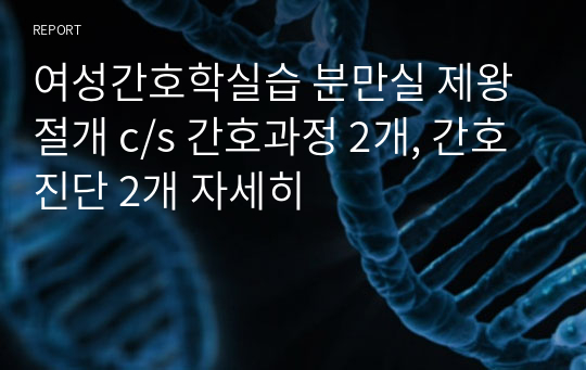 여성간호학실습 분만실 제왕절개 c/s 간호과정 2개, 간호진단 2개 자세히