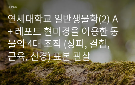 연세대학교 일반생물학(2) A+ 레포트 현미경을 이용한 동물의 4대 조직 (상피, 결합, 근육, 신경) 표본 관찰