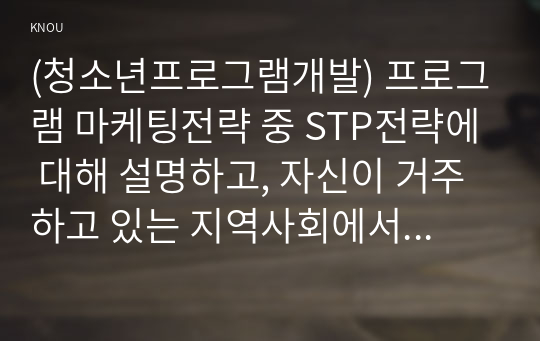 (청소년프로그램개발) 프로그램 마케팅전략 중 STP전략에 대해 설명하고, 자신이 거주하고 있는 지역사회에서 STP 전략을 활용하여 청소년프로그램에