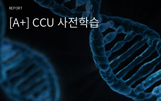 [A+] CCU 사전학습