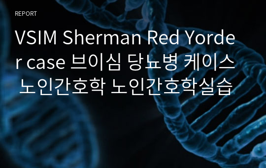 VSIM Sherman Red Yorder case 브이심 당뇨병 케이스 노인간호학 노인간호학실습
