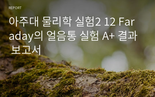 아주대 물리학 실험2 12 Faraday의 얼음통 실험 A+ 결과 보고서