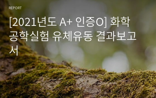 [2021년도 A+ 인증O] 화학공학실험 유체유동 결과보고서