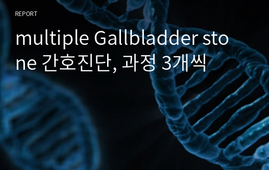 multiple Gallbladder stone 간호진단, 과정 3개씩