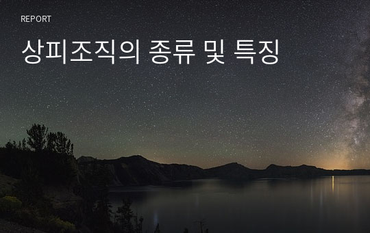 상피조직의 종류 및 특징